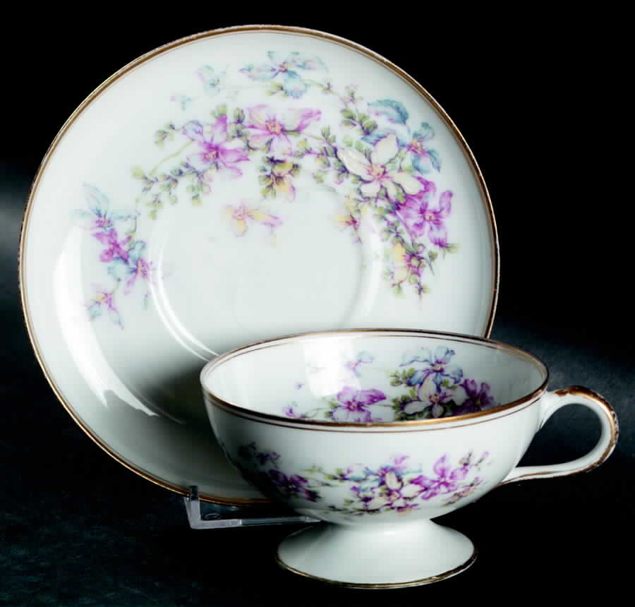 H2599 Footed Cup & Saucer Set by Haviland-1