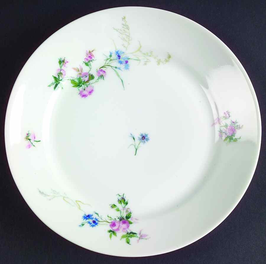 H2604 Salad Plate by Haviland-1