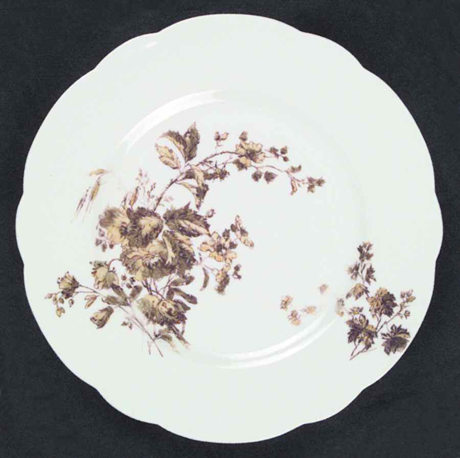 Schleiger 77-2 Salad Plate by Haviland-1