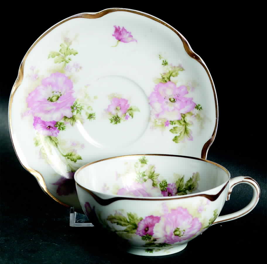 H2619 Flat Cup & Saucer Set by Haviland-1