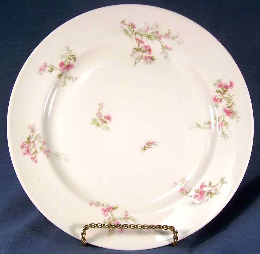 H2627 Dinner Plate by Haviland-1