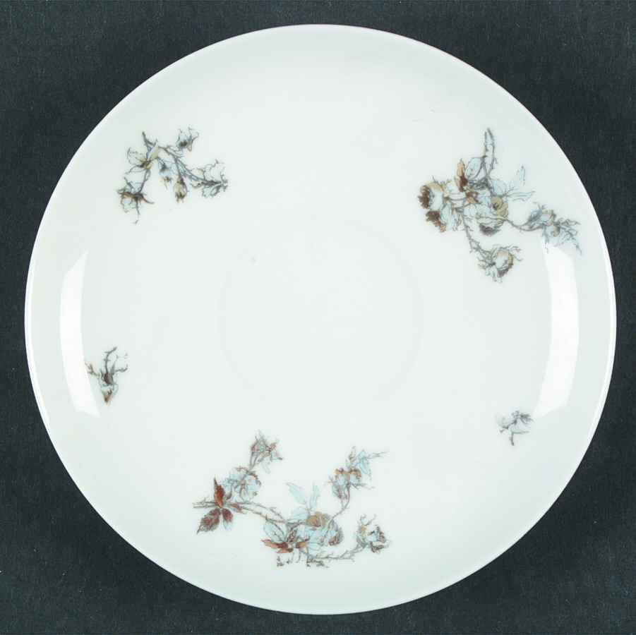 H2633 Saucer by Haviland-1