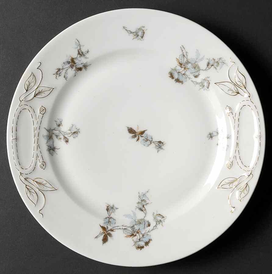 H2633 Dinner Plate by Haviland-1