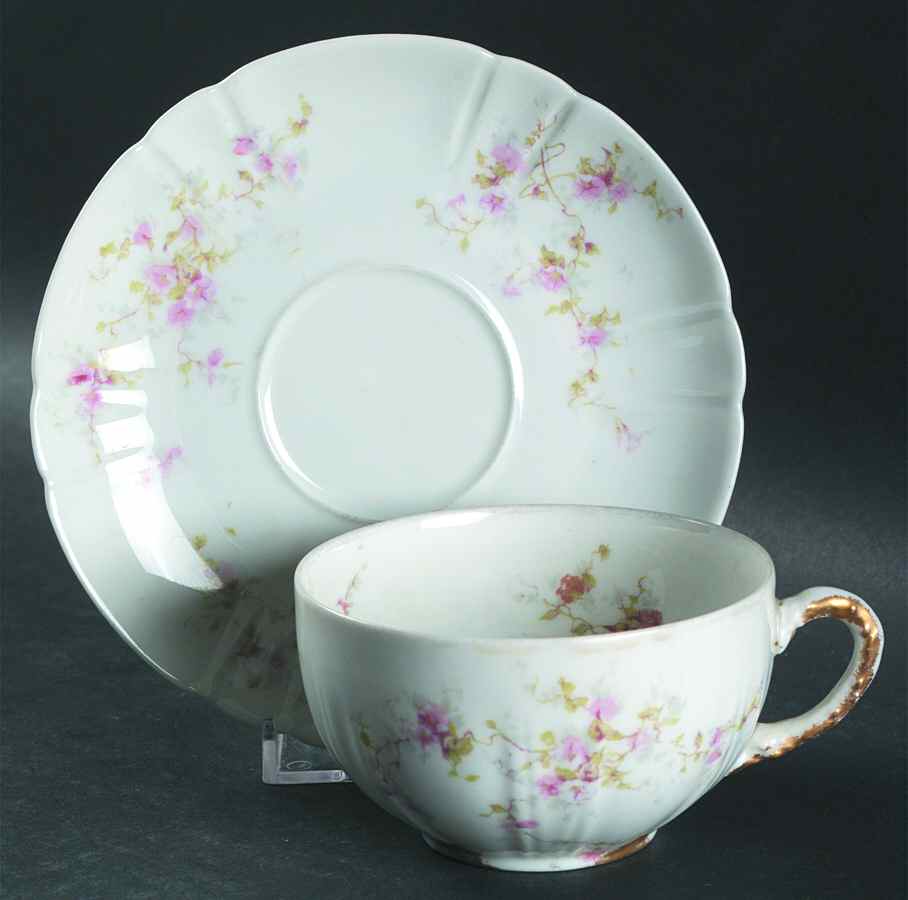 Schleiger 159-1 Flat Cup & Saucer Set by Haviland-1