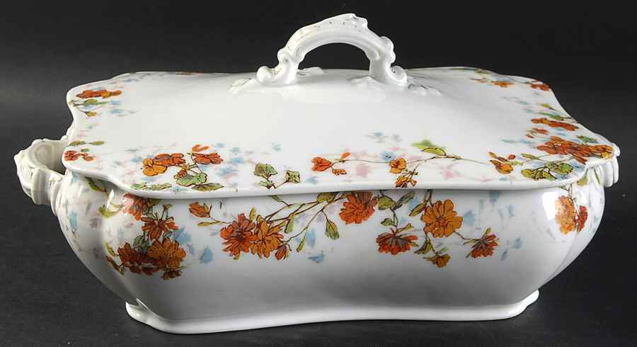 H2638 Rectangular Covered Vegetable by Haviland-1