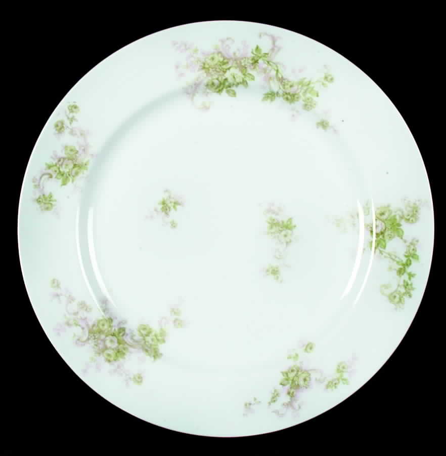 Schleiger 228-1 Dinner Plate by Haviland-1