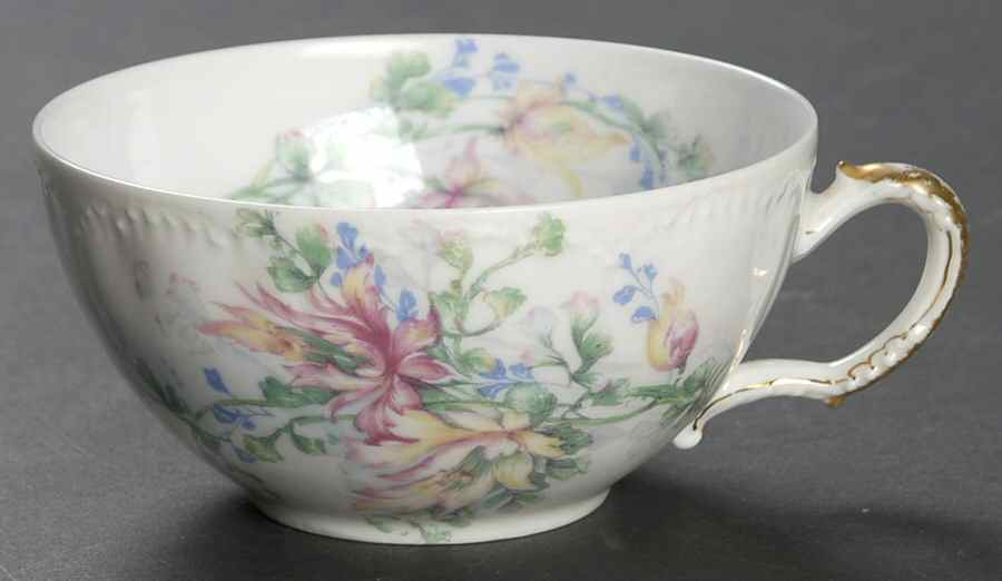 H2646 Flat Cup by Haviland-1