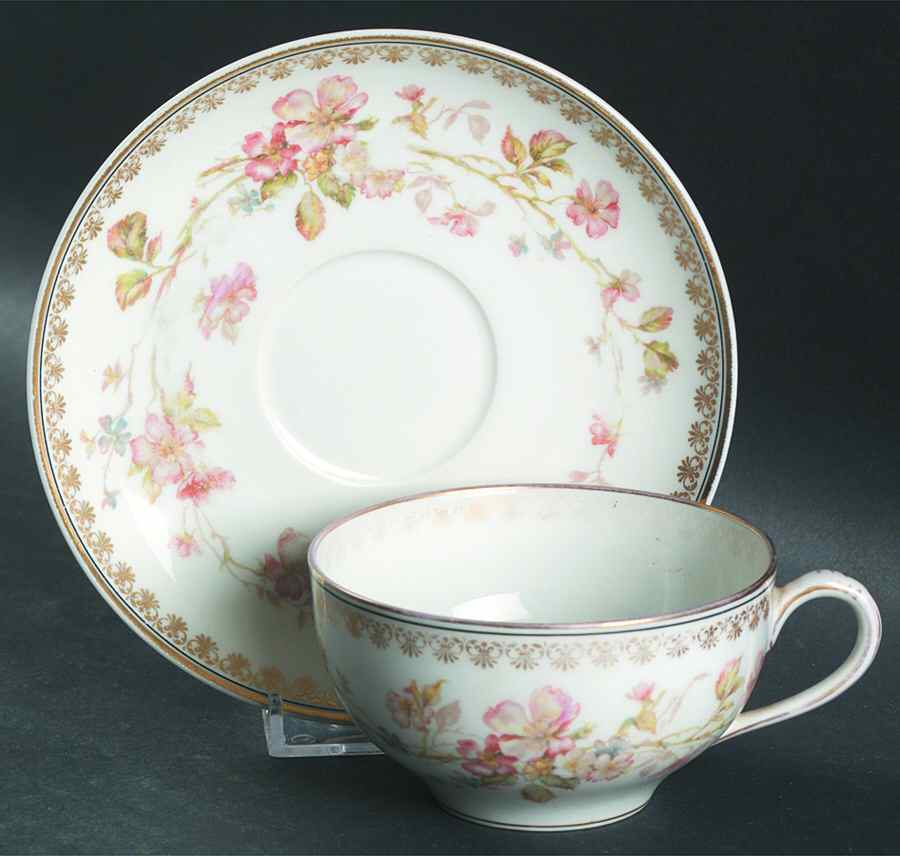 H2651 Flat Cup & Saucer Set by Haviland-1