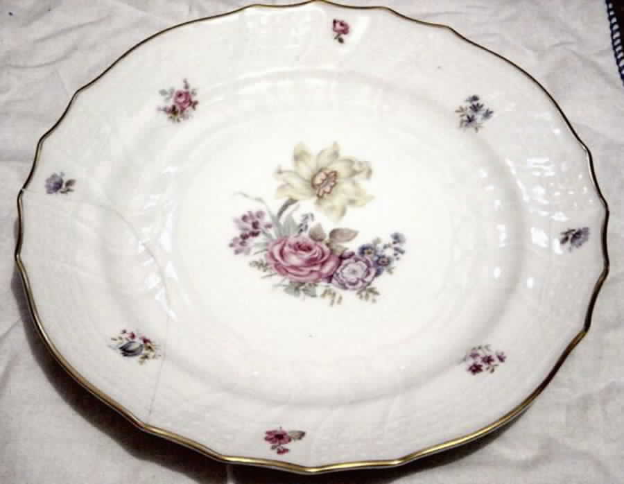 8981 Dinner Plate by Hutschenreuther-1