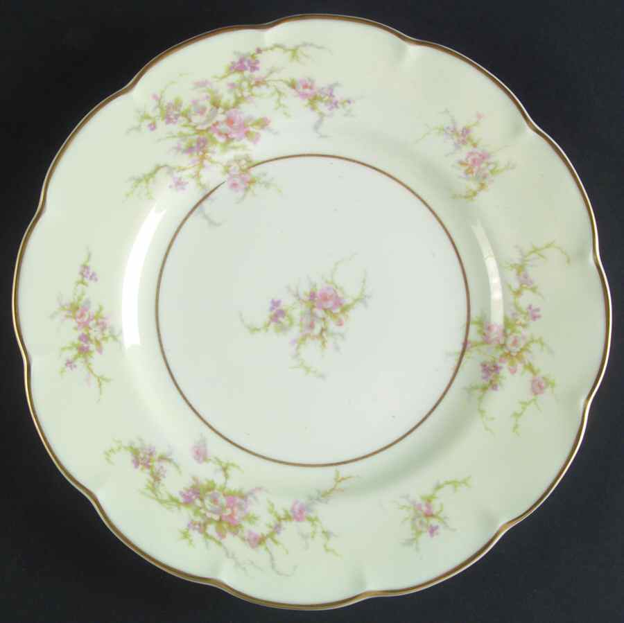 Rosalinde (France, Lutece Shape) Dinner Plate by Haviland-1