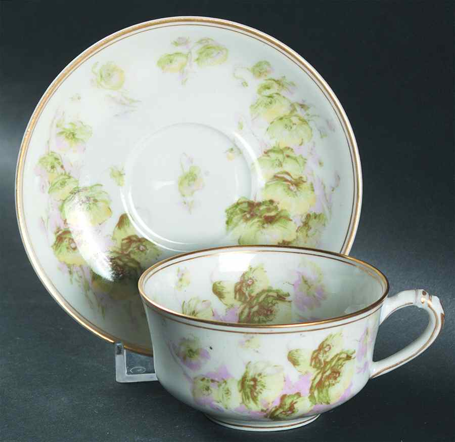 Schleiger 665-2 Flat Demitasse Cup & Saucer Set by Haviland-1