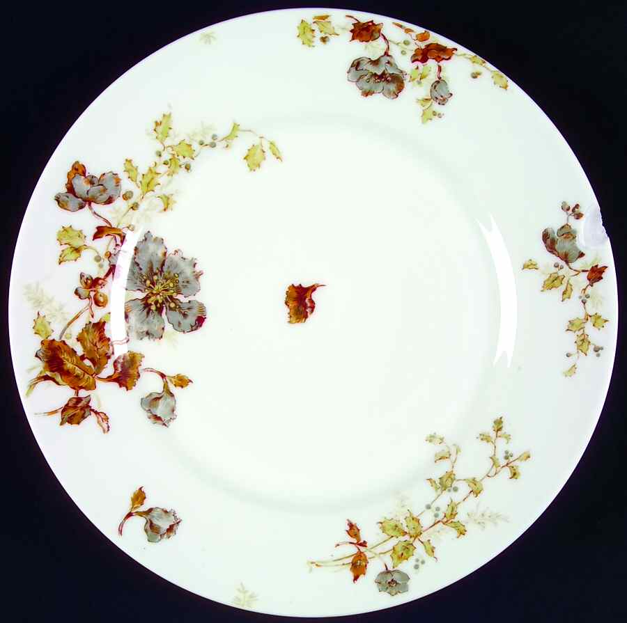 H2662 Dinner Plate by Haviland-1