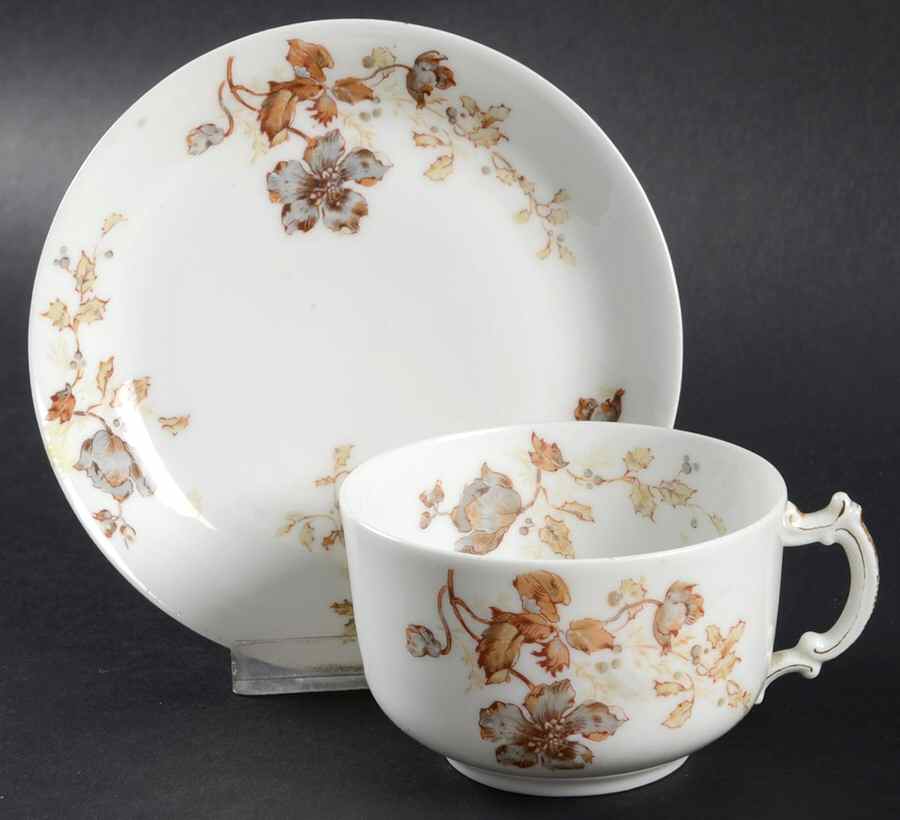 H2662 Flat Cup & Saucer Set by Haviland-1