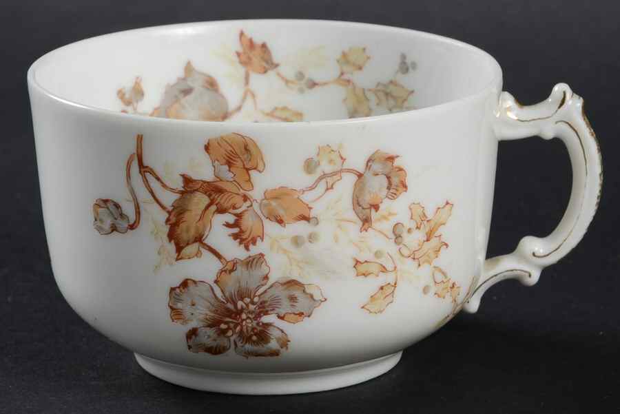 H2662 Flat Cup by Haviland-1