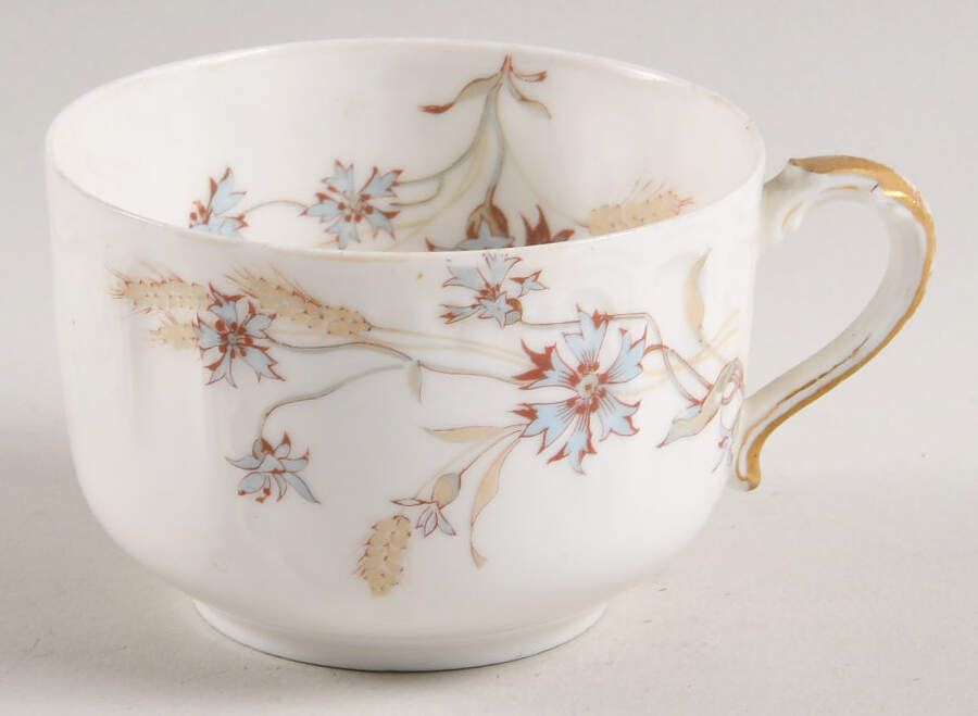 Schleiger 73-1 Flat Cup by Haviland-1
