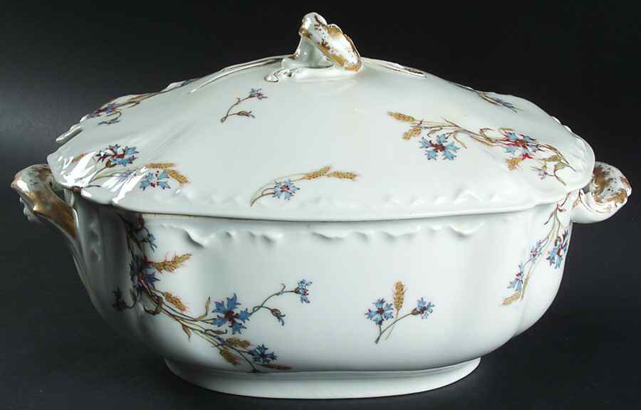 Schleiger 73-1 Tureen &  Lid by Haviland-1