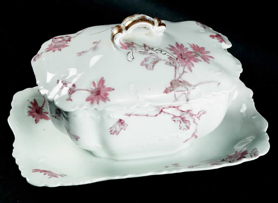 H2679 Gravy Boat w/Attached Underplate & Lid by Haviland-1