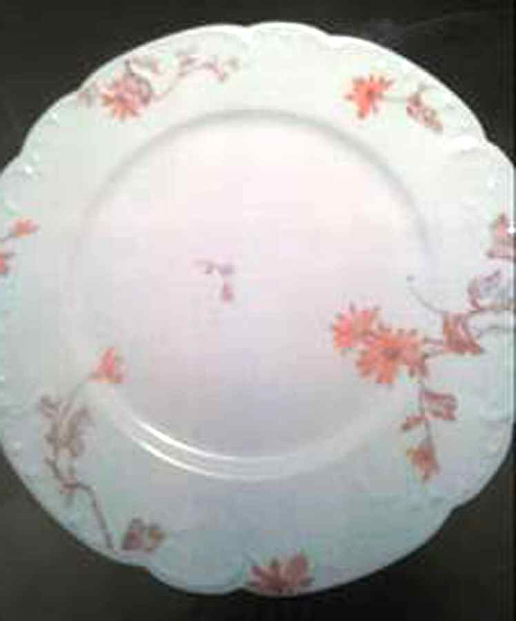 H2679 Dinner Plate by Haviland-1