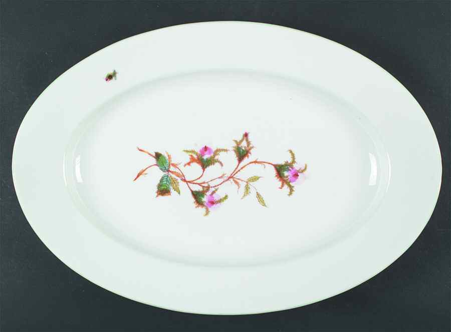 Moss Rose (Green Trim) 19" Oval Serving Platter by Haviland-1