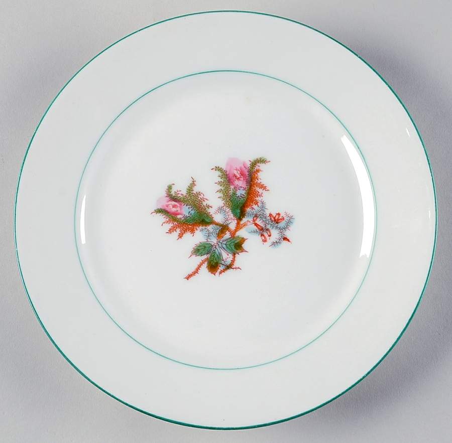 Moss Rose (Green Trim) Salad Plate by Haviland-1