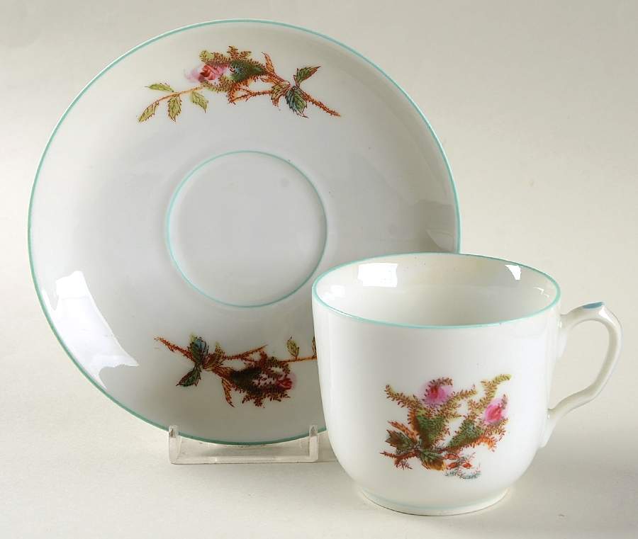 Moss Rose (Green Trim) Footed Cup & Saucer Set by Haviland-1