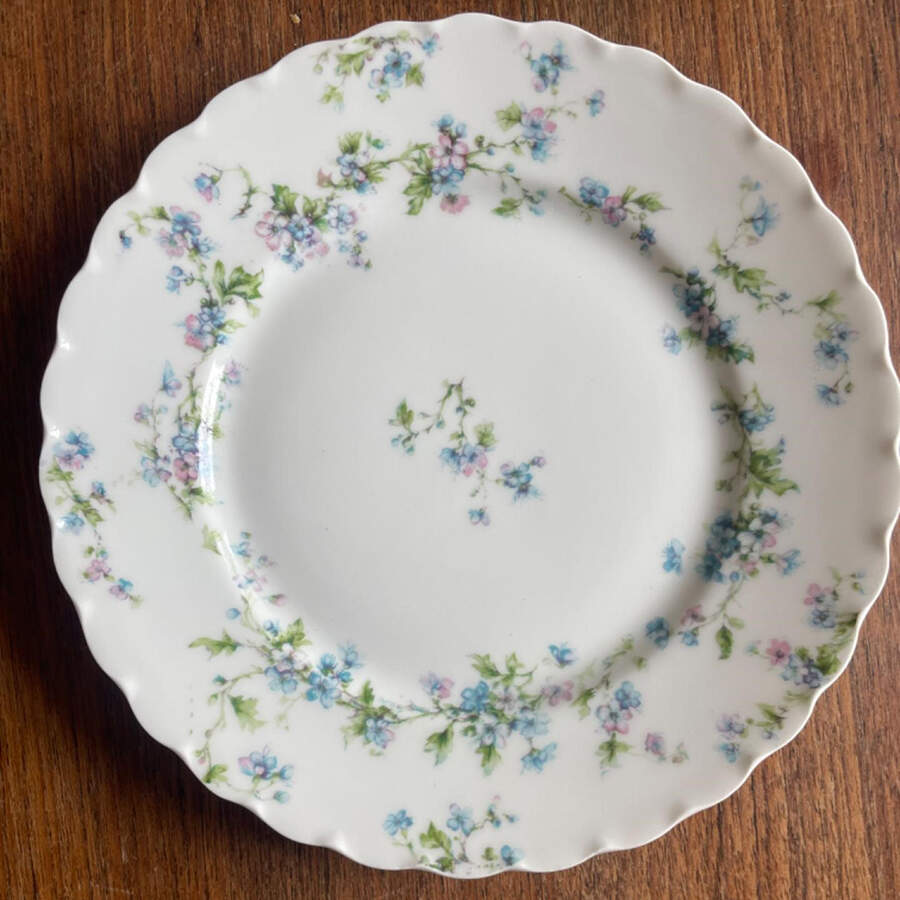 Schleiger 74-1 Salad Plate by Haviland-1