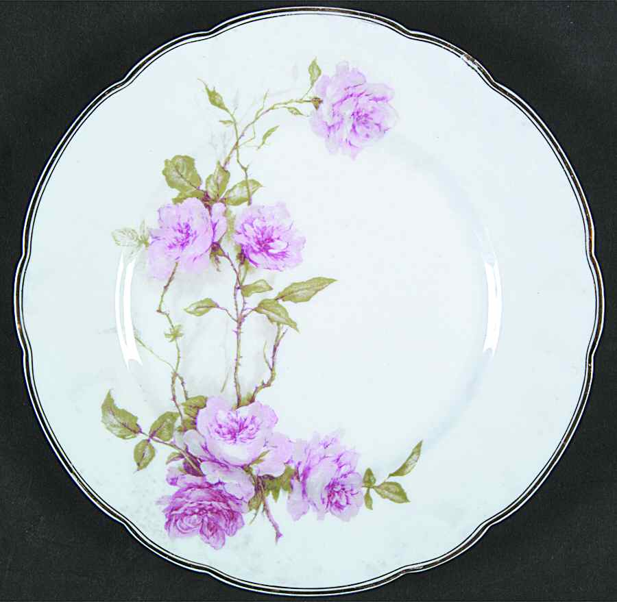 Schleiger 1151-2 Salad Plate by Haviland-1