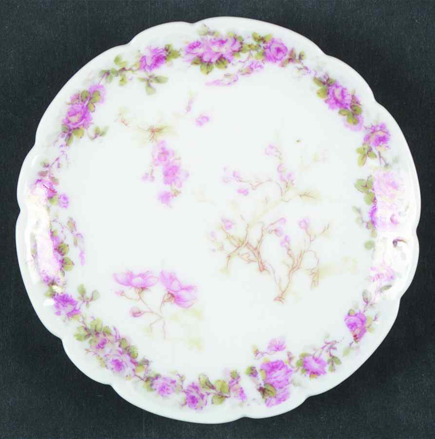Schleiger 251-2 Butter Pat by Haviland-1