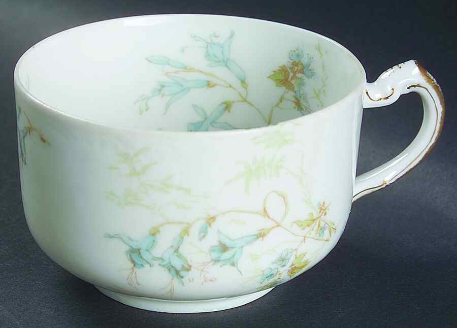 Schleiger 1170-1 Flat Cup by Haviland-1