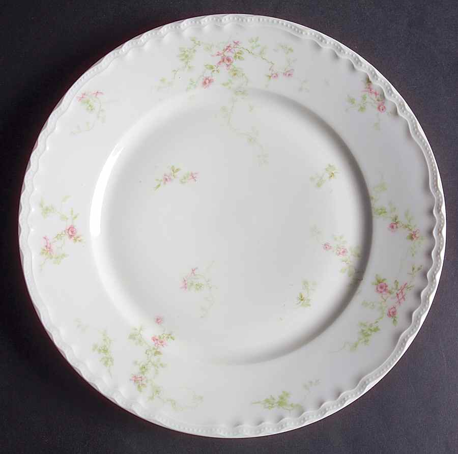 H2694 Dinner Plate by Haviland-1