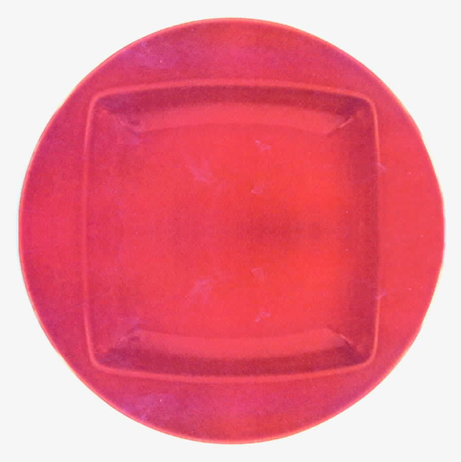 Fiesta Colorations Persimmon Dinner Plate by Homer Laughlin -1