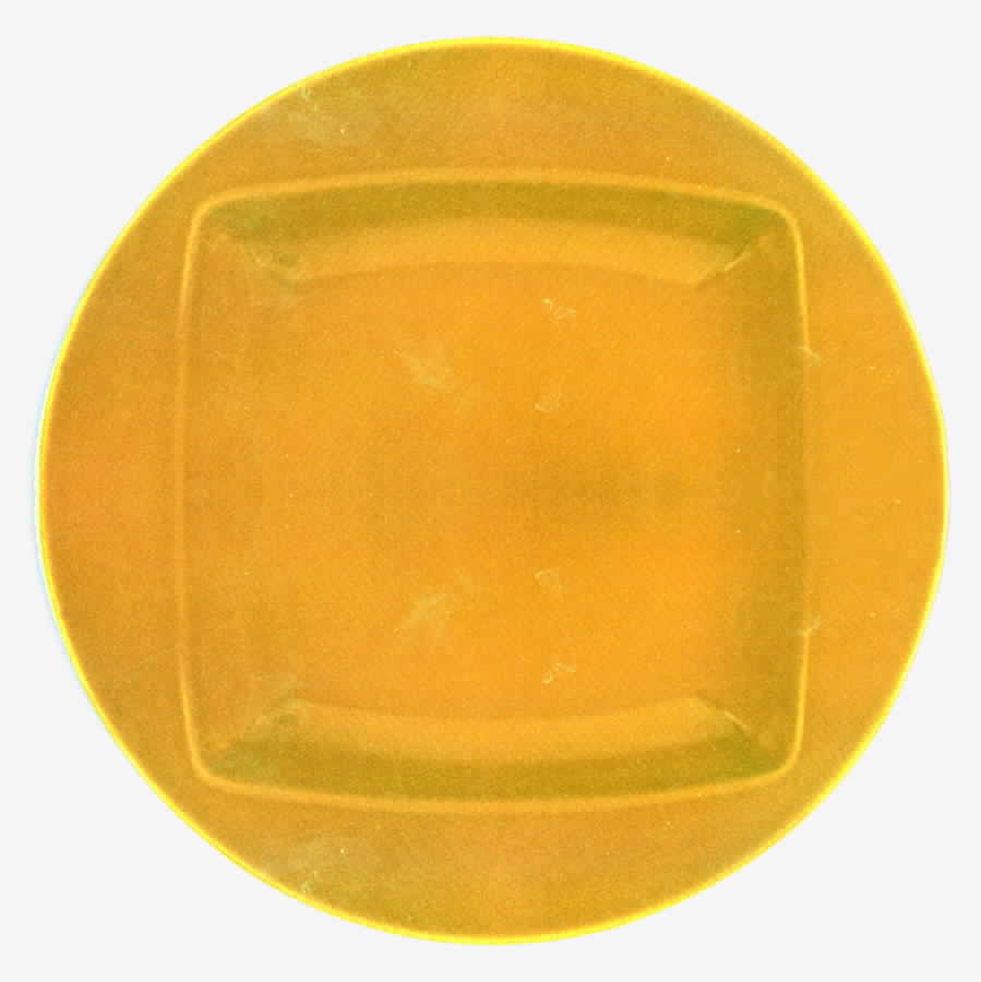 Fiesta Colorations Sunflower Dinner Plate by Homer Laughlin -1