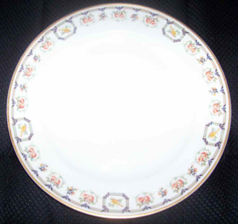 H2709 Dinner Plate by Haviland-1