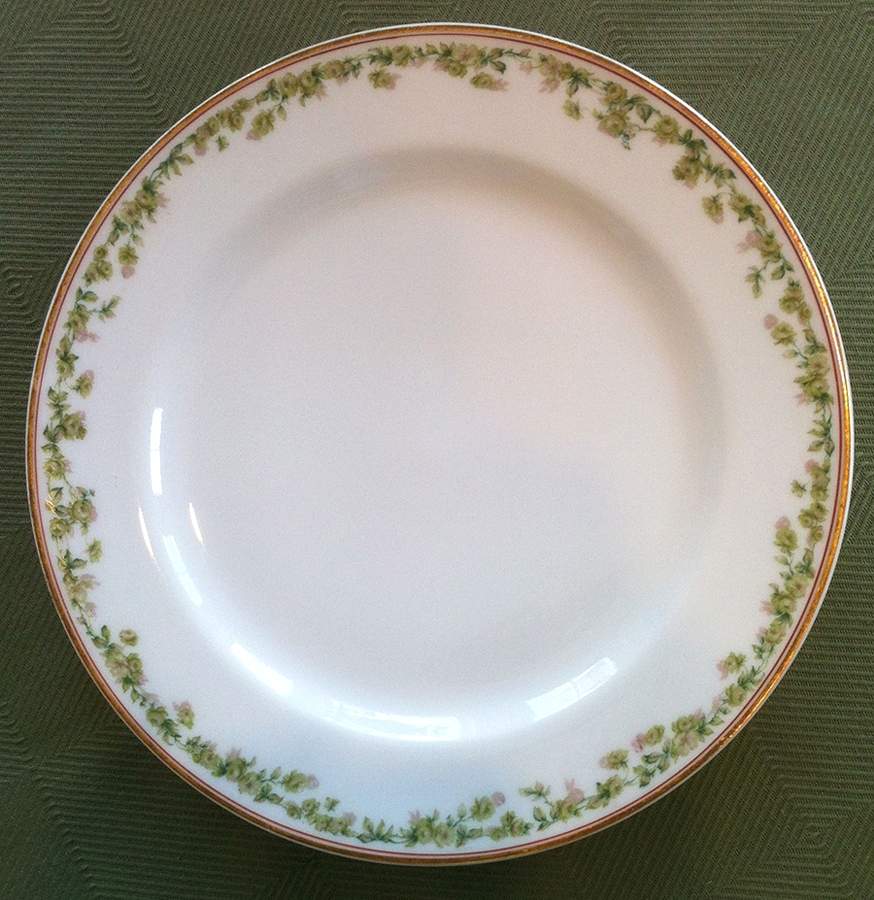 Schleiger 955-1 Dinner Plate by Haviland-1