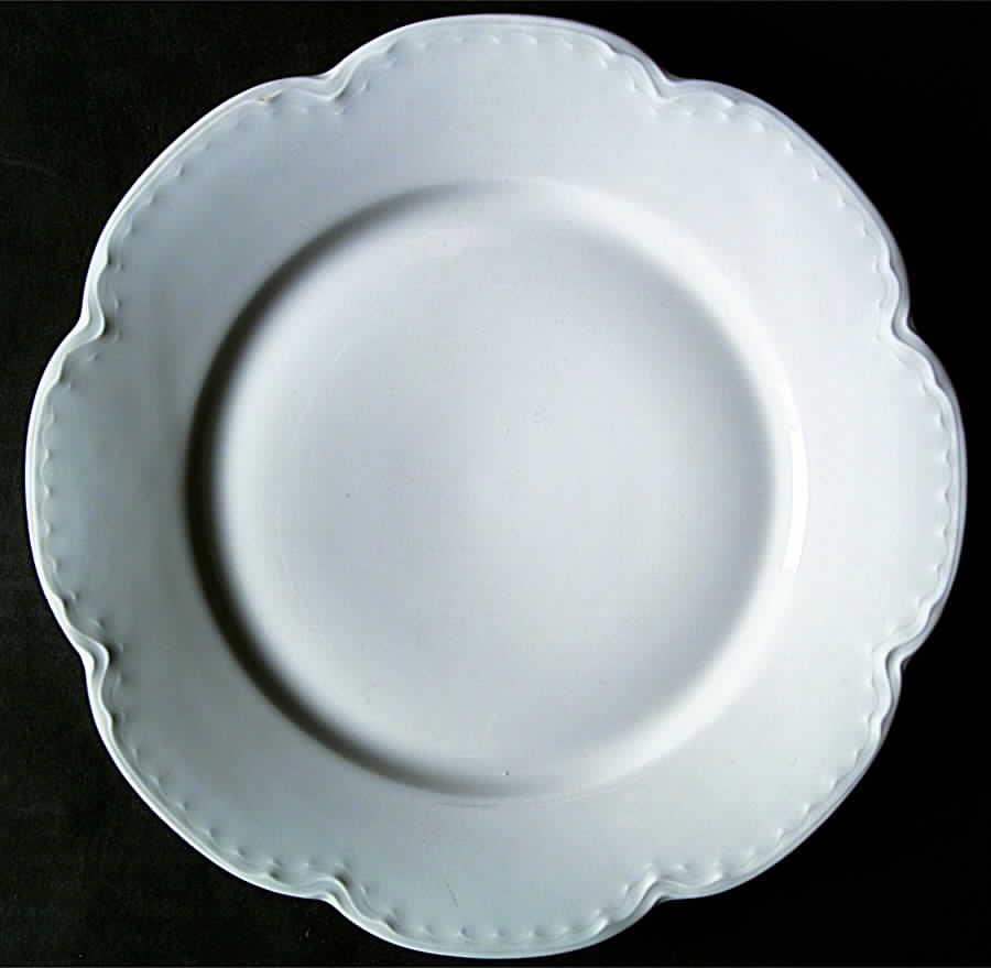 H2720 Dinner Plate by Haviland-1