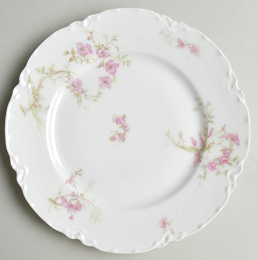 Schleiger 1166-1 Salad Plate by Haviland-1