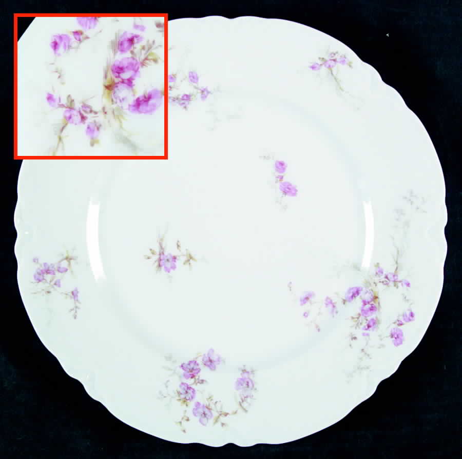 Schleiger 1166-1 Dinner Plate by Haviland-1