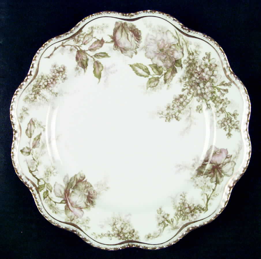 H2725 Dinner Plate by Haviland-1