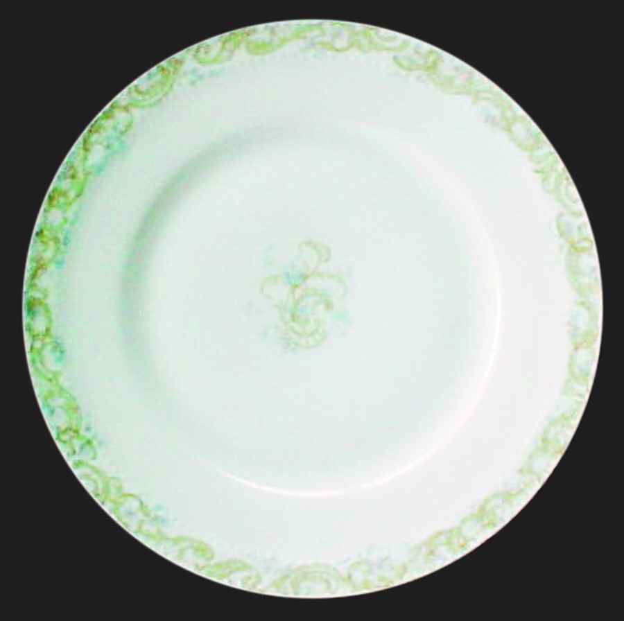 H2727 Dinner Plate by Haviland-1