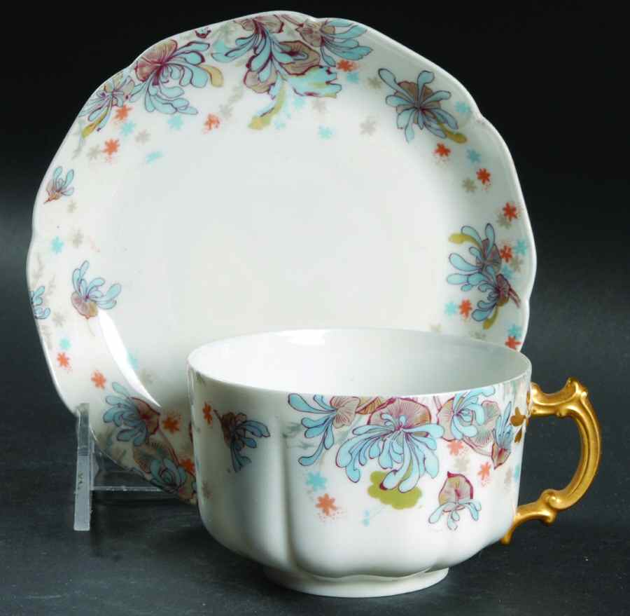 H2732 Flat Cup & Saucer Set by Haviland-1