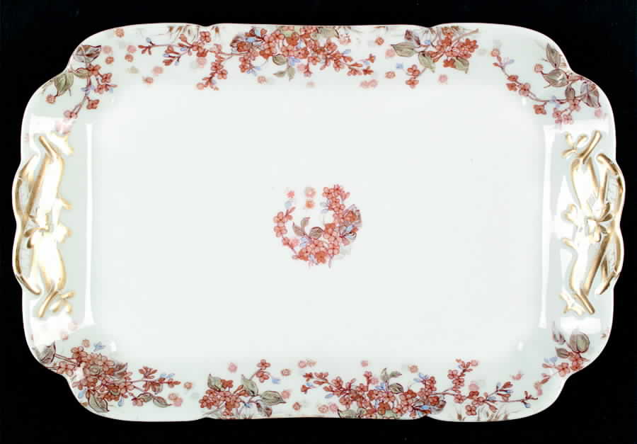 H2735 12" Rectangular Serving Platter by Haviland-1