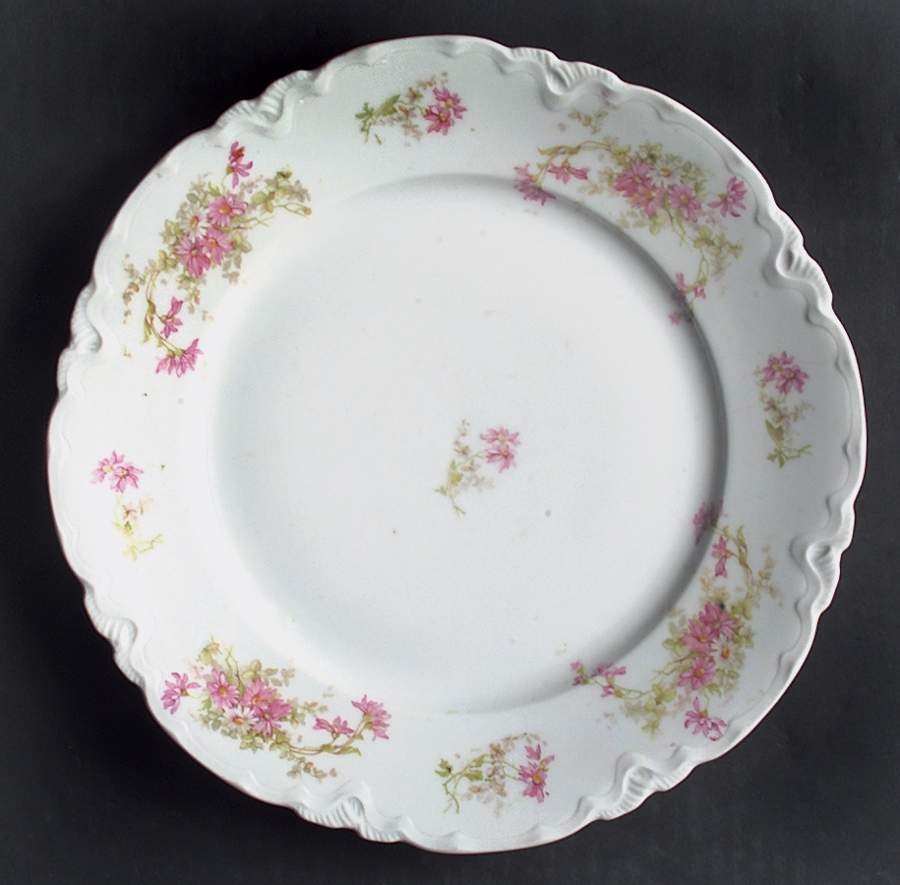 HAB70 Dinner Plate by Habsburg-1