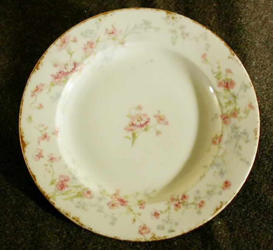 H2729 Dinner Plate by Haviland-1