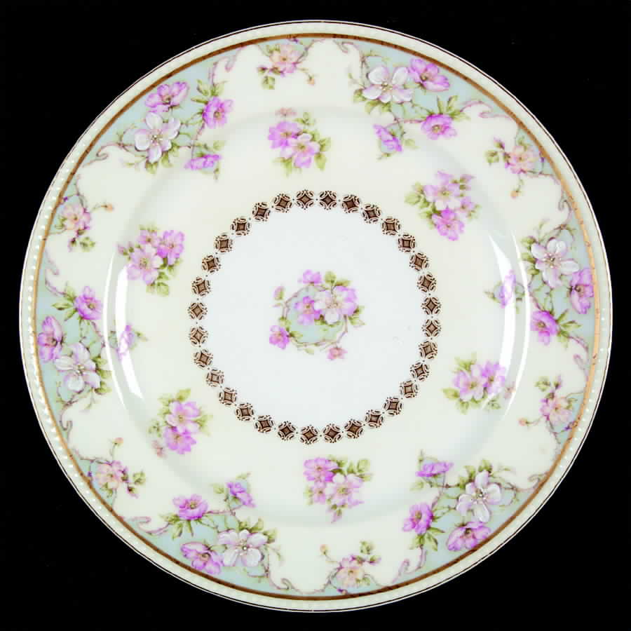 H2753 Dinner Plate by Haviland-1