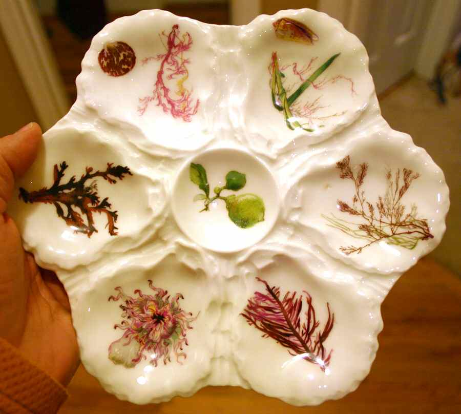 H2755 Oyster Plate by Haviland-1