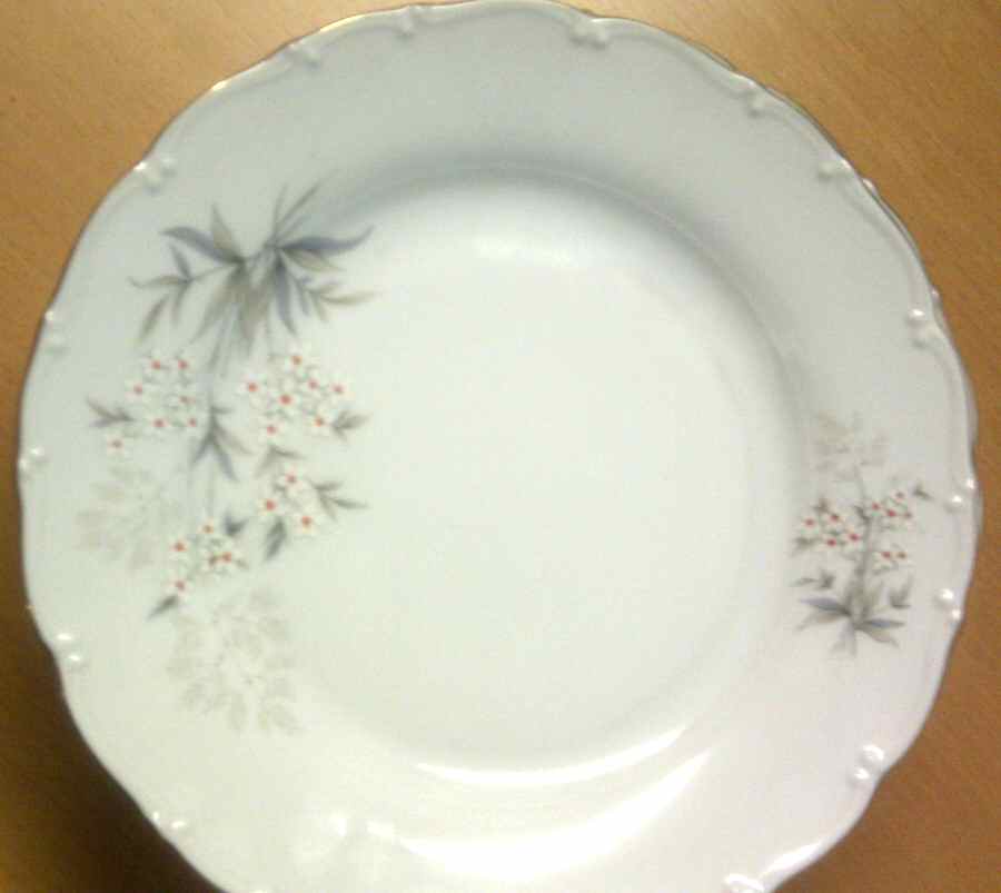 HCZ185 Dinner Plate by Haas-Czjzek Coronado-1