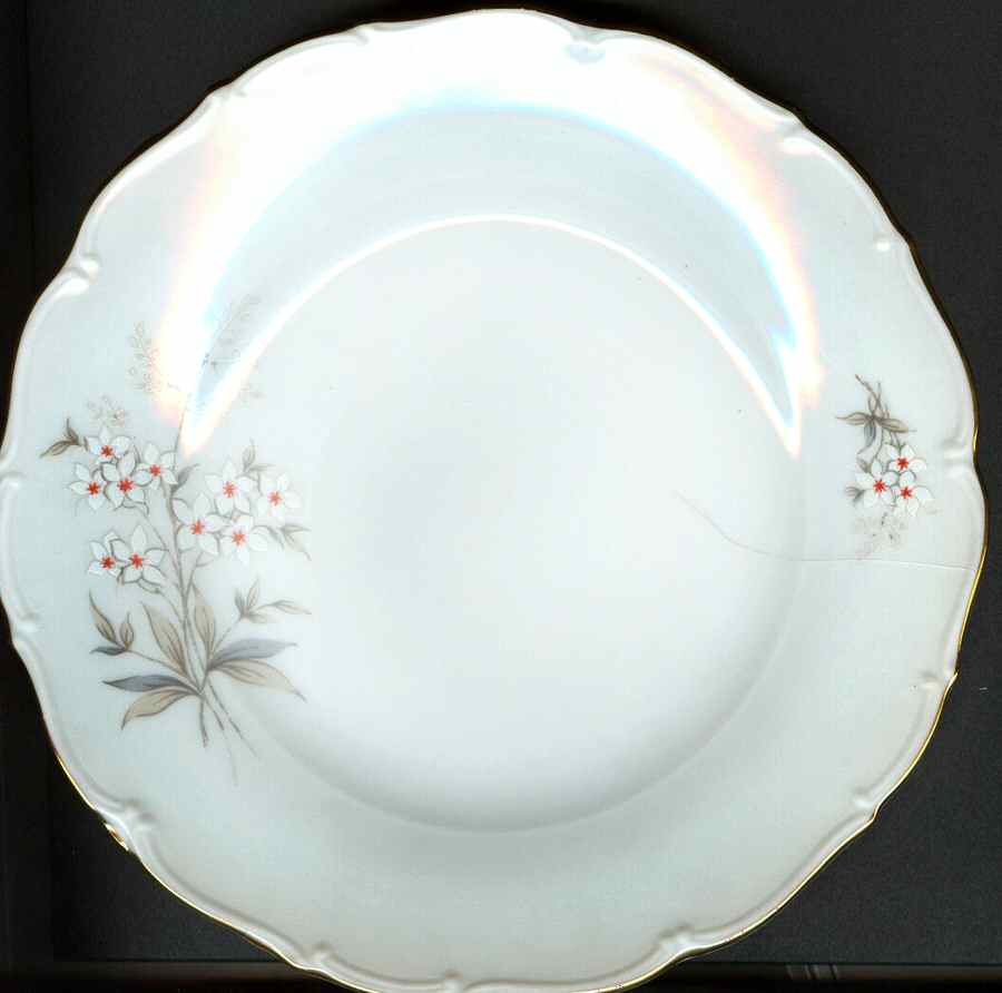 HCZ185 Rim Soup Bowl by Haas-Czjzek Coronado-1
