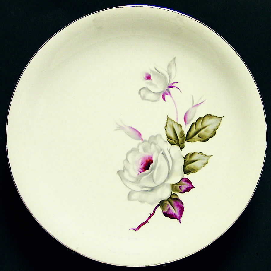 HKN8 Dinner Plate by Hakusan-1