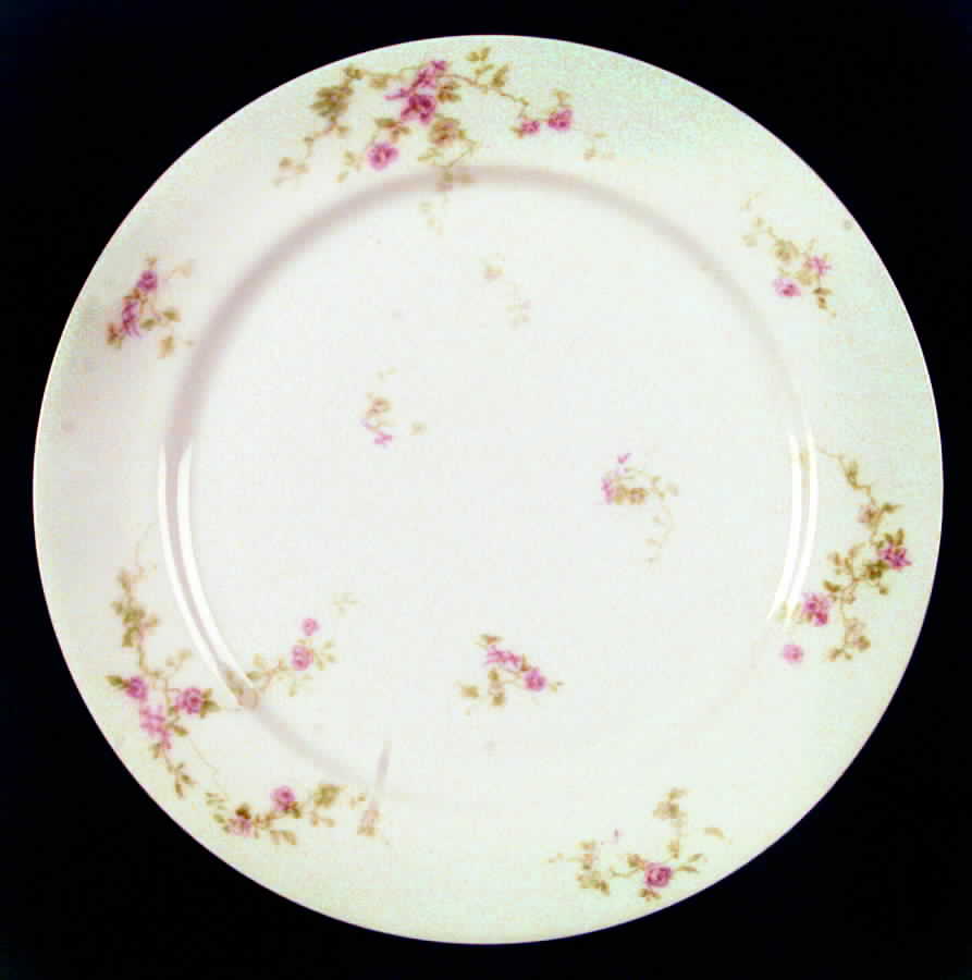 H2770 Dinner Plate by Haviland-1