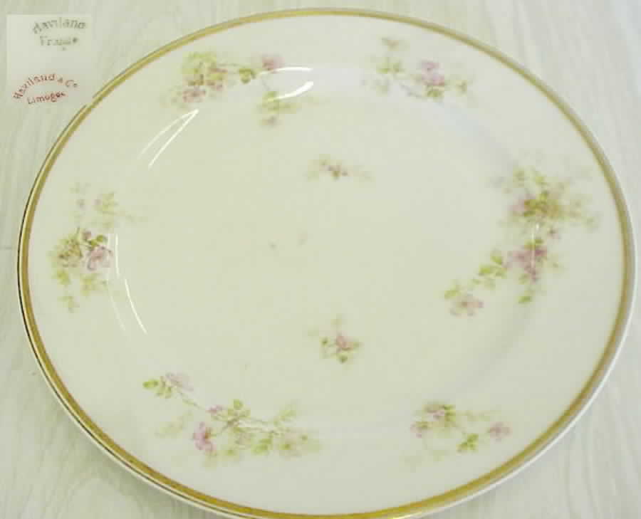 H2773 Dinner Plate by Haviland-1